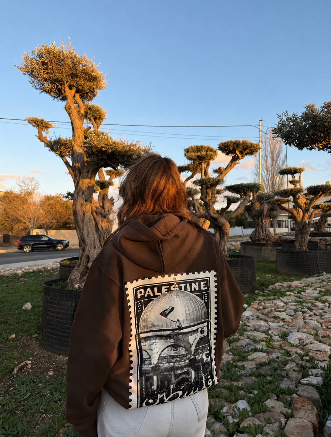 Al Aqsa Hoodie - Brown
