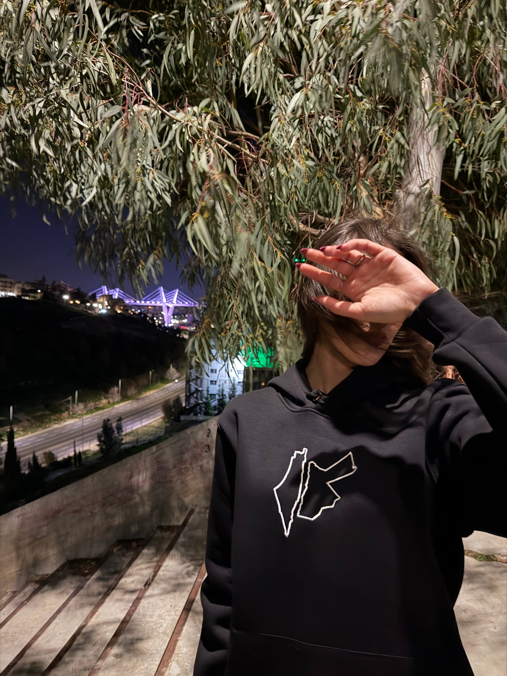 Pls🇵🇸 & Jo🇯🇴 Hoodie